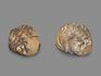 Трилобит Morocops sp., 3х2,5х2 см, 17927, фото 2