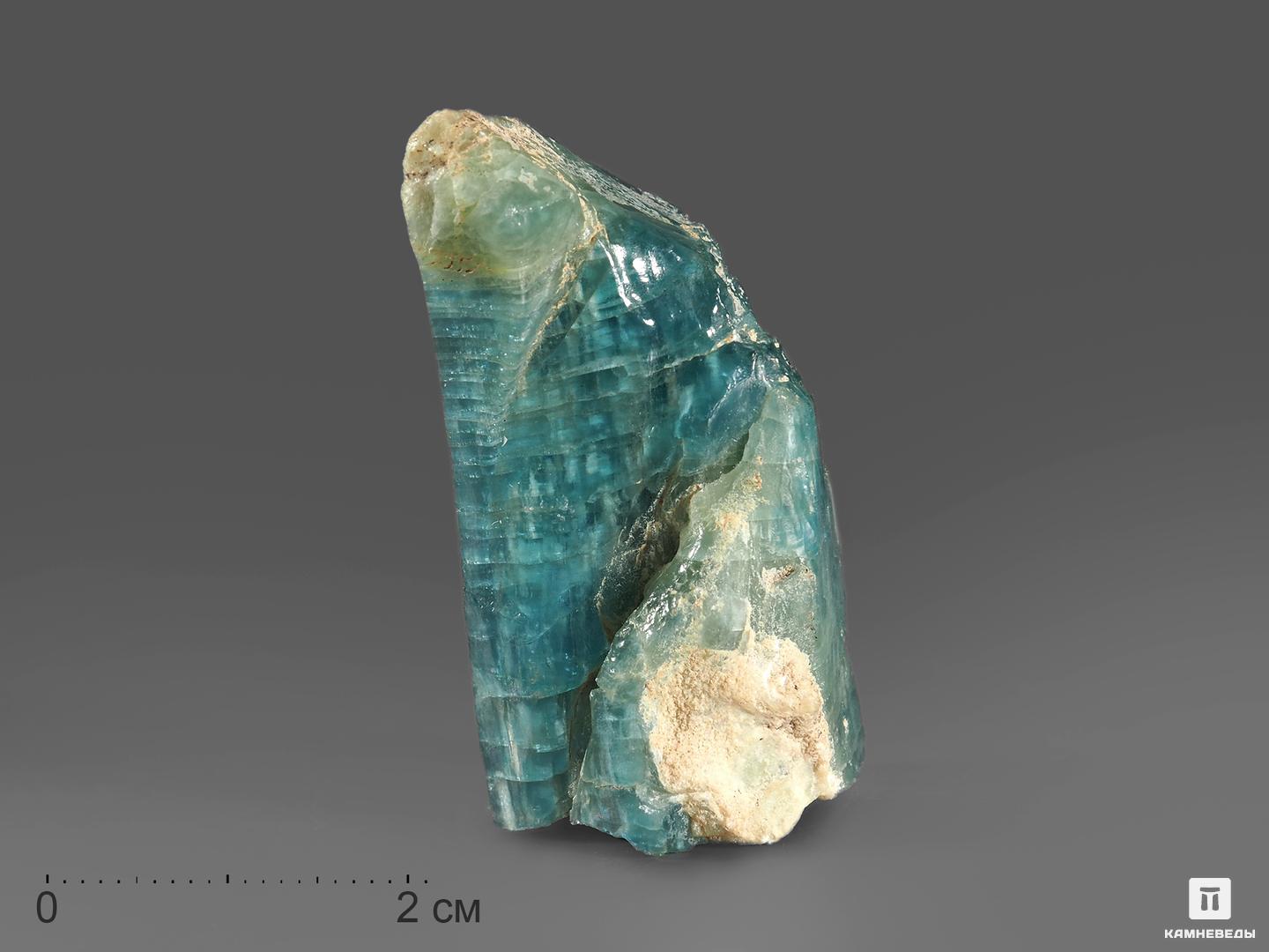 Апатит синий, кристалл 3,5-4,5 см, 10-122/6, фото 1