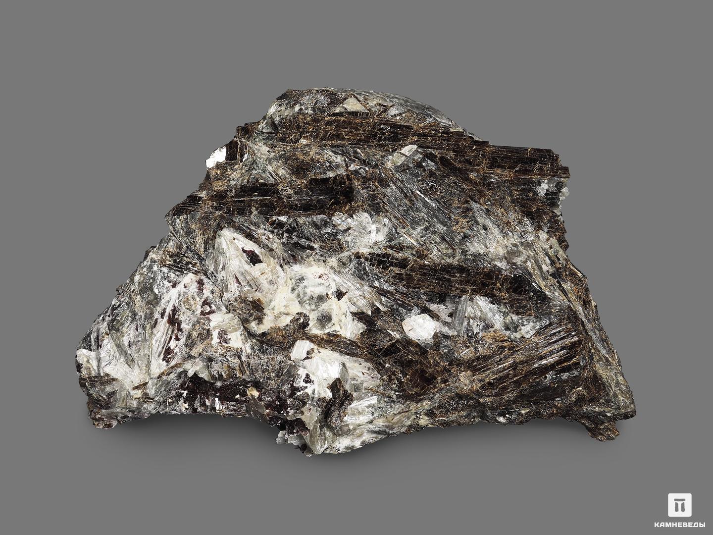 Лампрофиллит, 8,5х5,5х3 см, 18641, фото 2