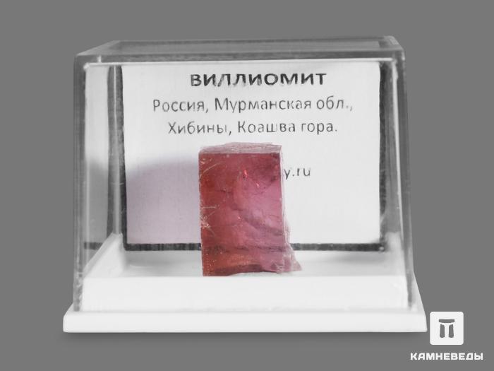 Виллиомит в пластиковом боксе, 1,6х1,2х0,9 см, 18653, фото 2