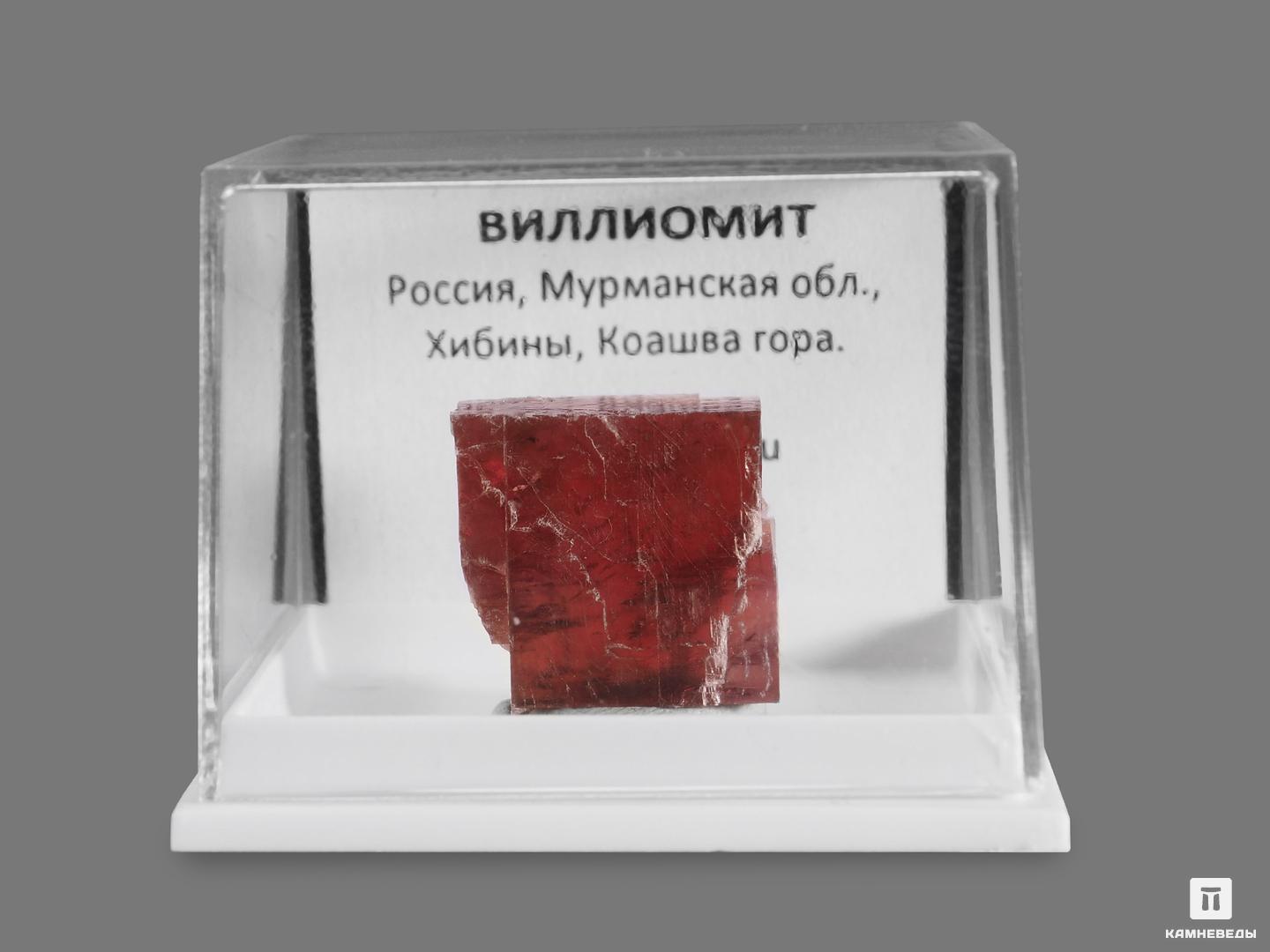 Виллиомит в пластиковом боксе, 1,6х1,6х0,9 см, 18654, фото 2