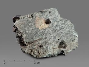 Магнетит, 6,5-10 см