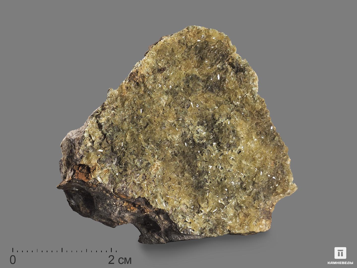 Анапаит, 4,7х4,5х3,3 см анапаит в раковине 4 7х4 2х2 см