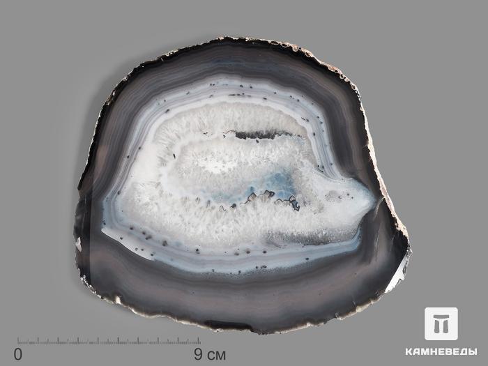 Агат, полированный срез 16,5х14,5х0,7 см, 15372, фото 1