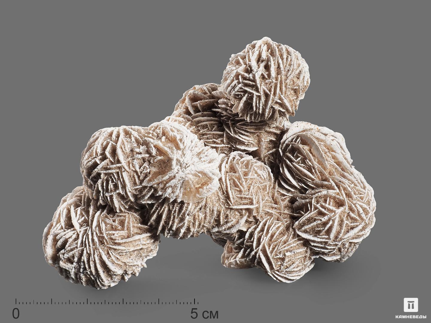 гипсовая фигура дэдпул Гипсовая роза, 9,5-11,5 см