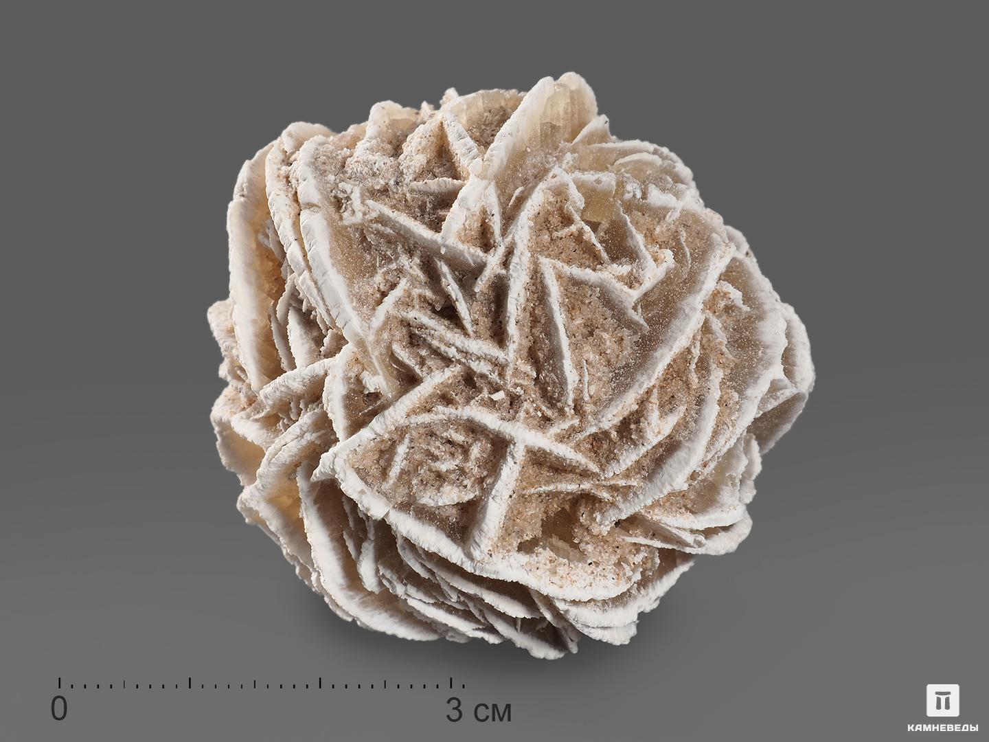 Гипсовая роза, 5х4,2 см гипсовая фигура дэдпул