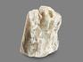 Скаполит, кристалл 3,7х2,3х1,9 см, 18582, фото 2