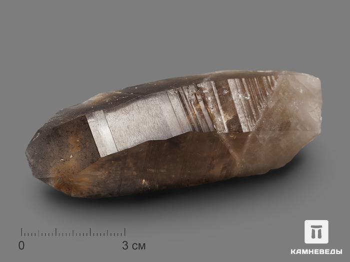 Дымчатый кварц (раухтопаз), кристалл 10,5х4х3 см, 16920, фото 1