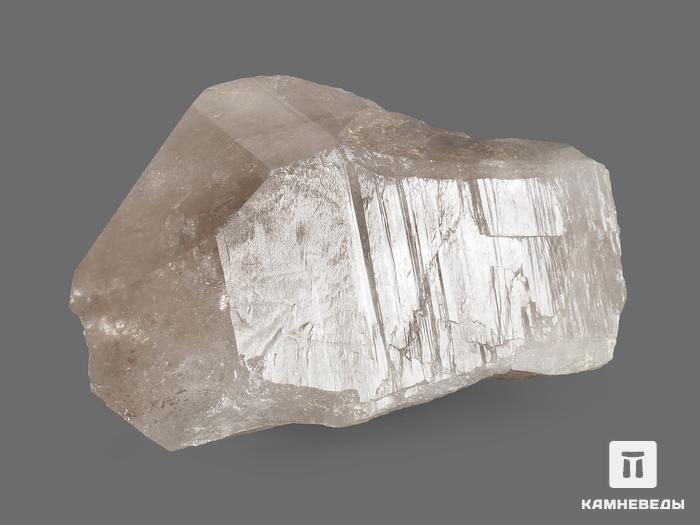 Дымчатый кварц (раухтопаз), кристалл 7х3,8х3,7 см, 16919, фото 2