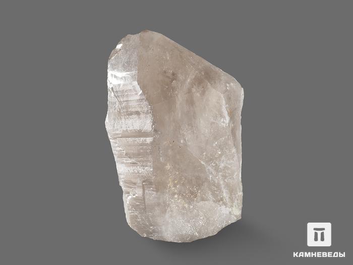 Дымчатый кварц (раухтопаз), кристалл 7х3,8х3,7 см, 16919, фото 3