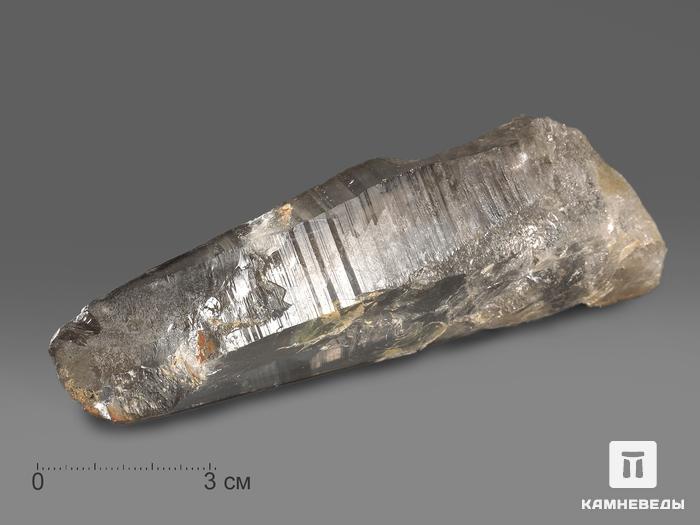 Дымчатый кварц (раухтопаз), кристалл 12,2х4,7х3,2 см, 16916, фото 1