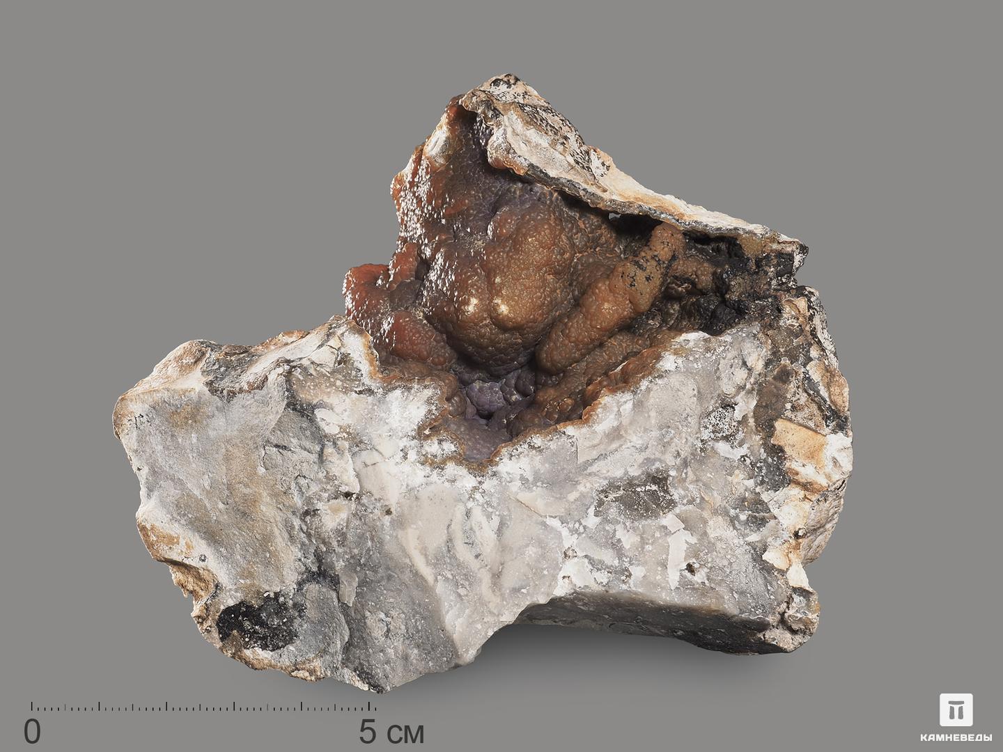 Халцедон, 11,8х11,2х6,5 см грот для аквариума trixie skull череп полиэфирная смола 16 2х9 8х11 8 см