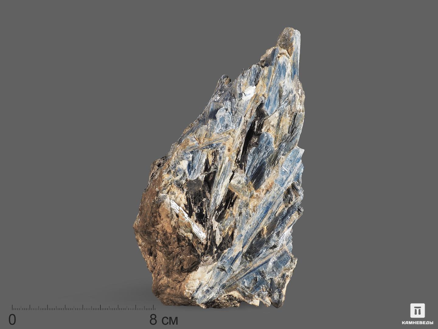 Кианит, 18х10,8х10,5 см, 18922, фото 1
