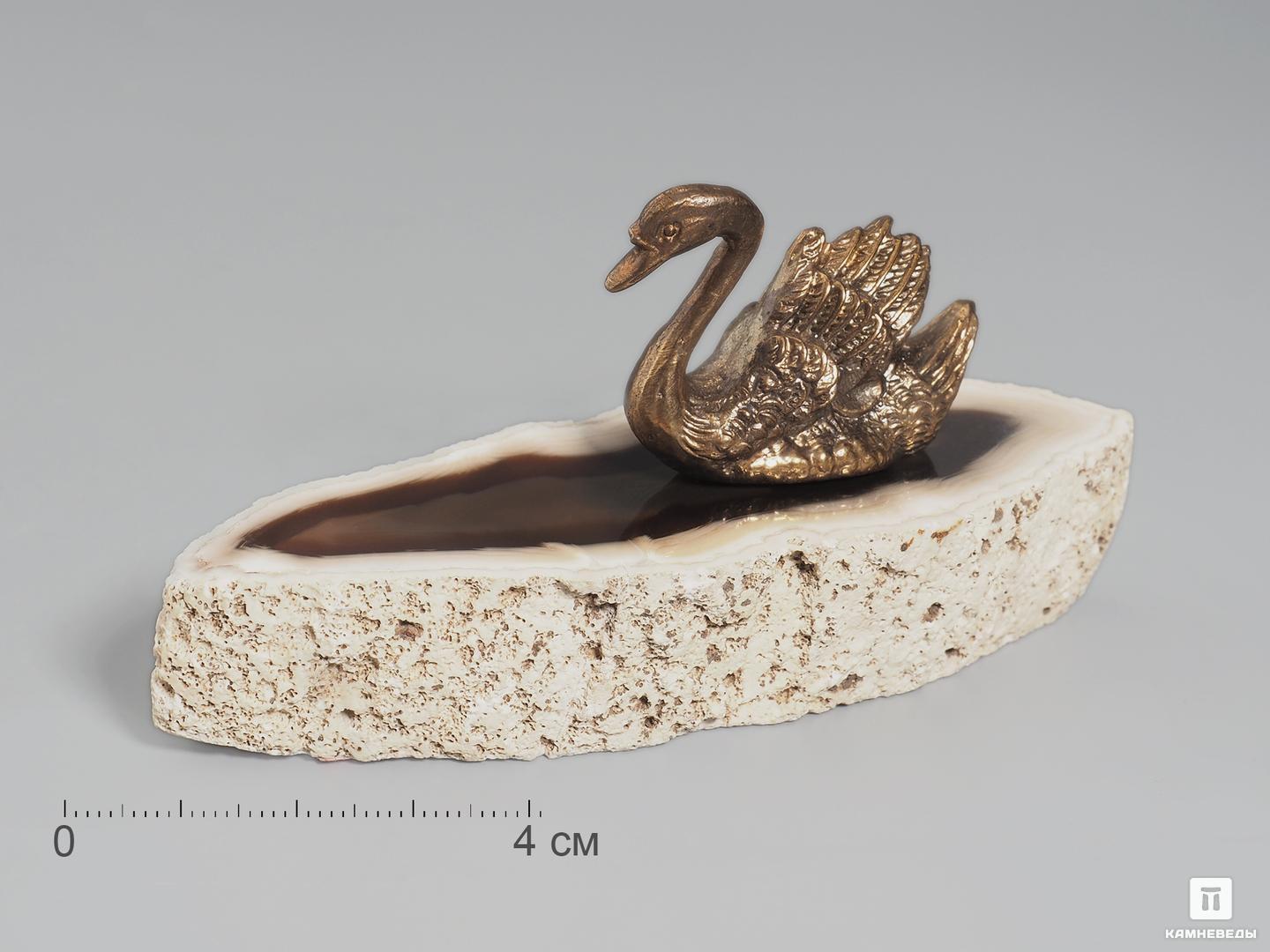 Композиция «Лебедь» с агатом, 9,6х4,7 см одинокий лебедь судьба и творчество якова полонского