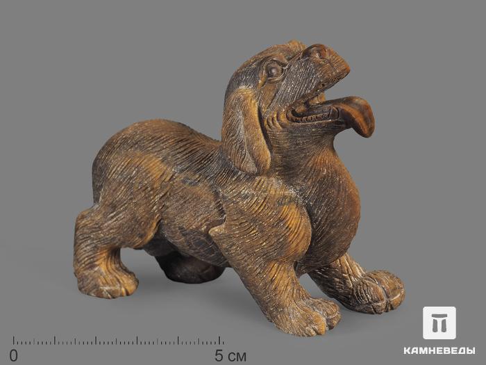 Собака из тигрового глаза, 9,2х7х3,2 см, 19069, фото 1