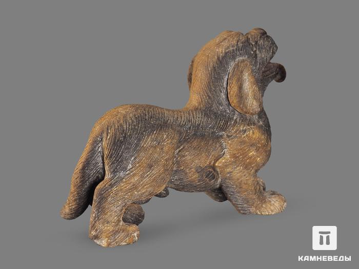 Собака из тигрового глаза, 9,2х7х3,2 см, 19069, фото 3