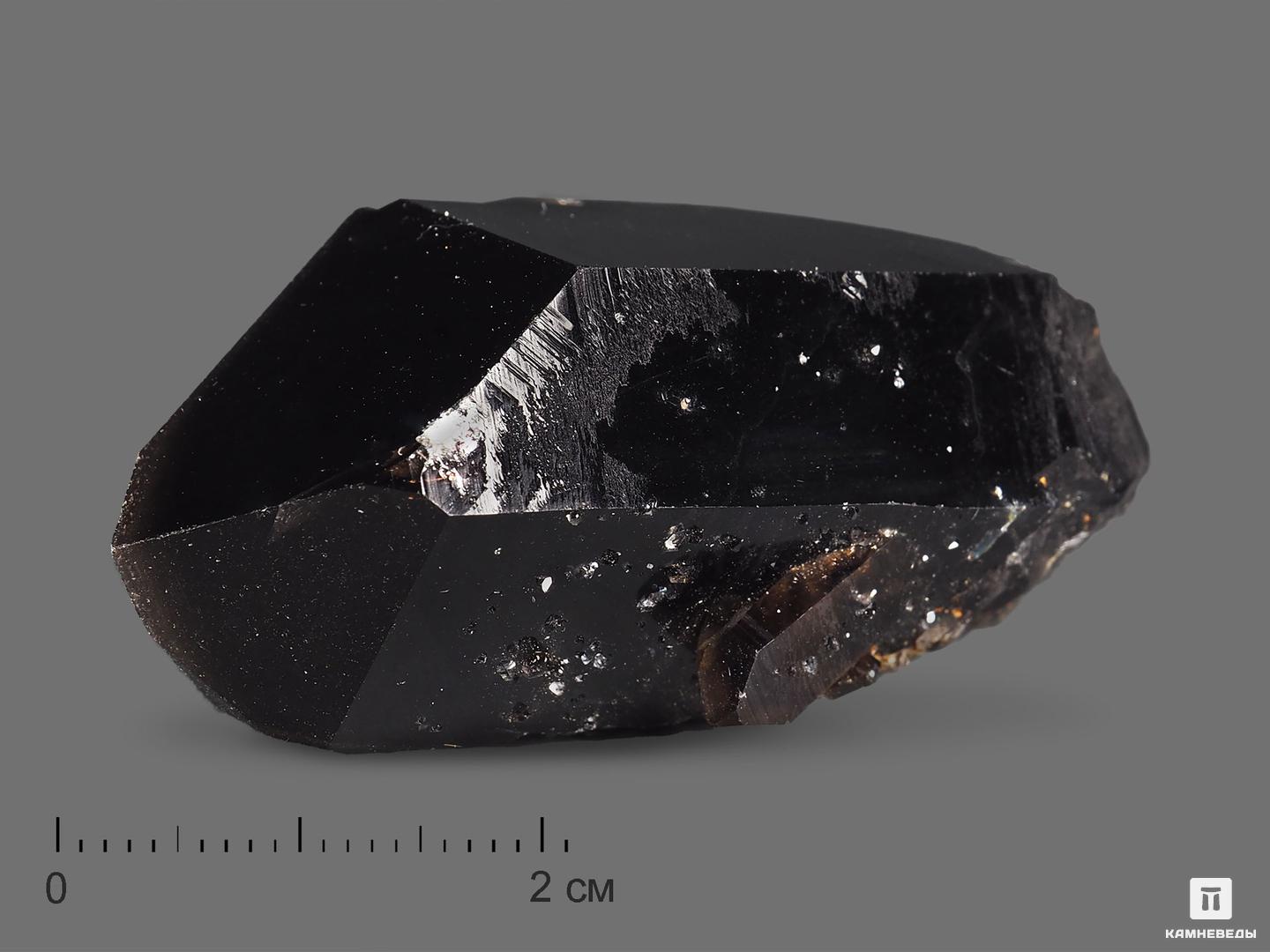 Морион (чёрный кварц), кристалл 5,1х2,6х2,2 см, 19043, фото 1