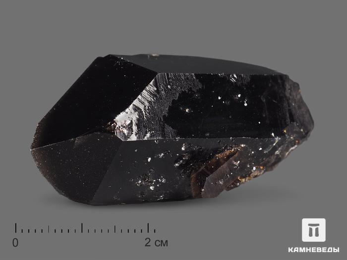 Морион (чёрный кварц), кристалл 5,1х2,6х2,2 см, 19043, фото 1