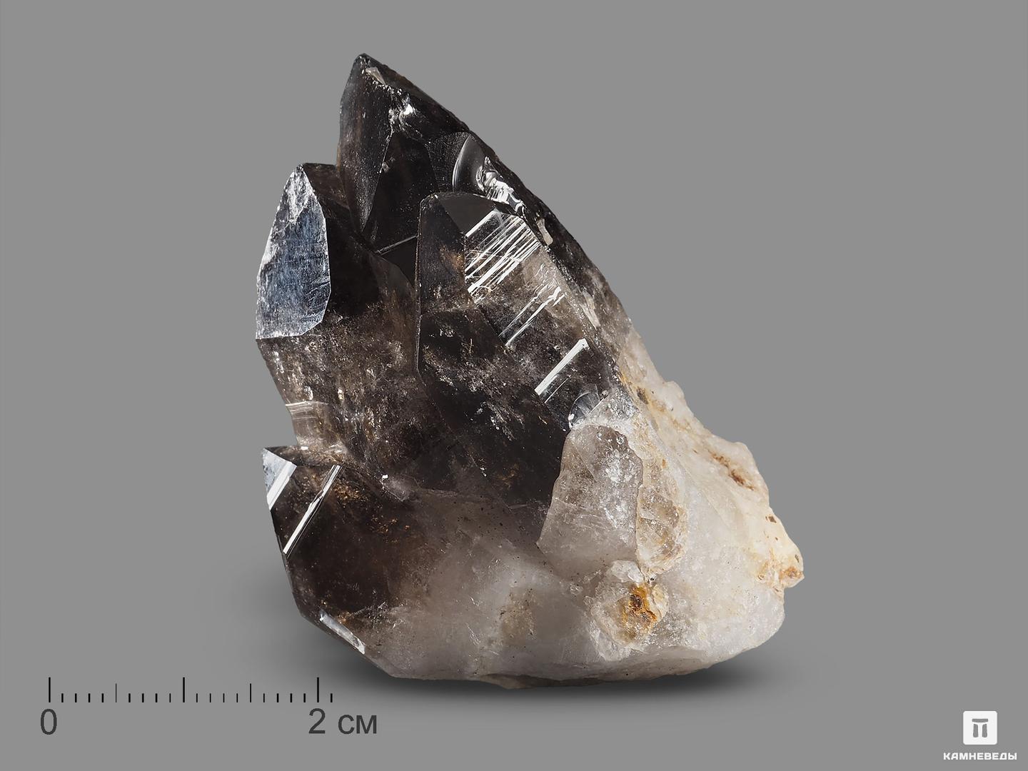 Дымчатый кварц (раухтопаз), сросток кристаллов 5,4х3,3х2,8 см, 19038, фото 1