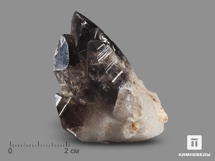 Дымчатый кварц (раухтопаз), сросток кристаллов 5,4х3,3х2,8 см, 19038, фото 1