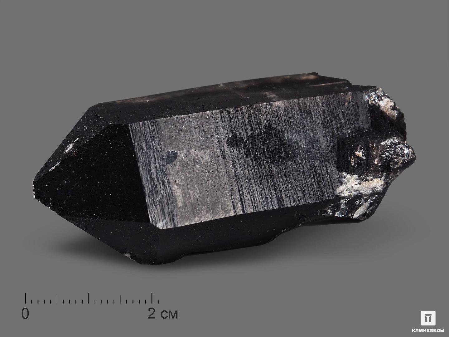 Морион (чёрный кварц), кристалл 6,4х2,9х2,7 см, 19040, фото 1