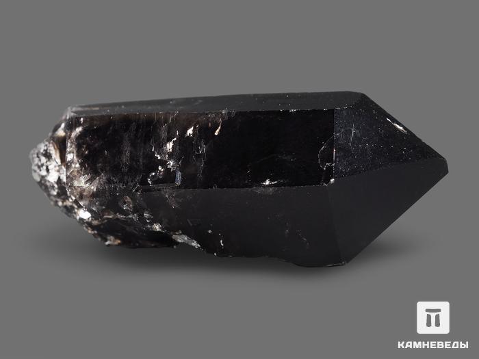 Морион (чёрный кварц), кристалл 6,4х2,9х2,7 см, 19040, фото 2