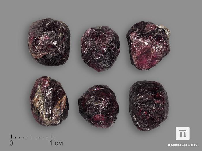 Гранат (альмандин), кристалл 0,5-1 см, 19157, фото 2