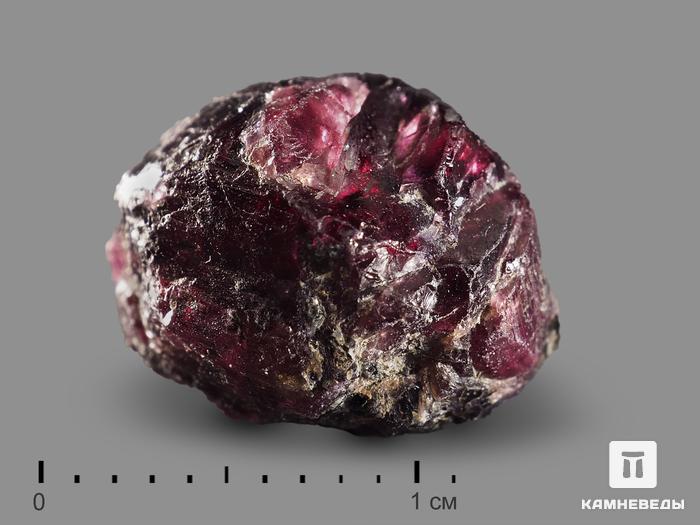 Гранат (альмандин), кристалл 0,5-1 см, 19157, фото 1
