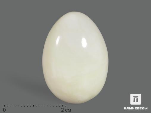 Яйцо из белого нефрита, 3,5х2,5 см, 19058, фото 1