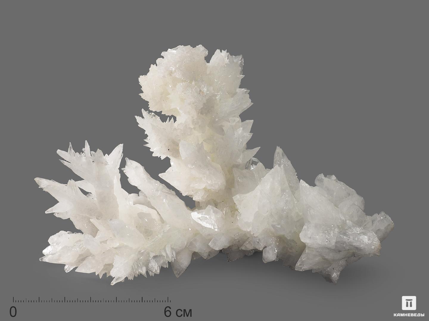 Арагонит белый, 15х12х6 см, 18748, фото 1