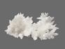 Арагонит белый, 15х12х6 см, 18748, фото 3