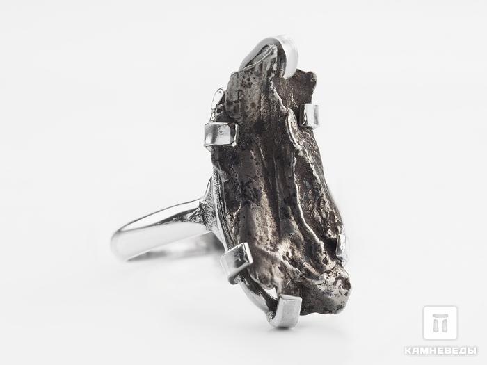 Кольцо с метеоритом Сихотэ-Алинь, 2х0,8 см, 14823, фото 1