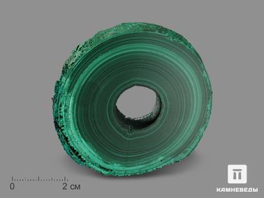 Малахит. Малахит, полированный срез 6,3х6,2х1,1 см