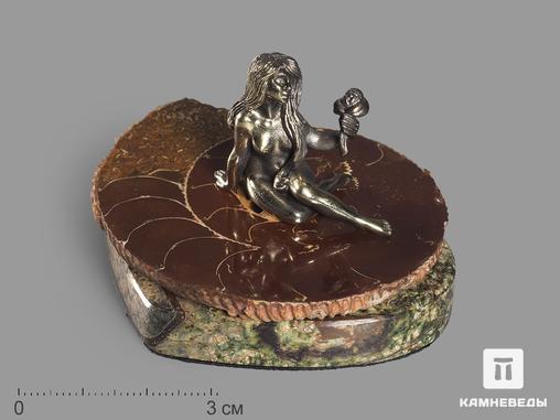 Композиция с полированным срезом аммонита, 19426, фото 1