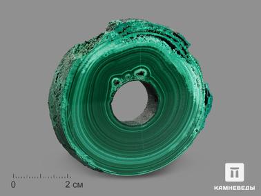 Малахит. Малахит, полированный срез 6х6х1 см