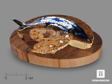 Композиция с полированным срезом аммонита и жемчугом