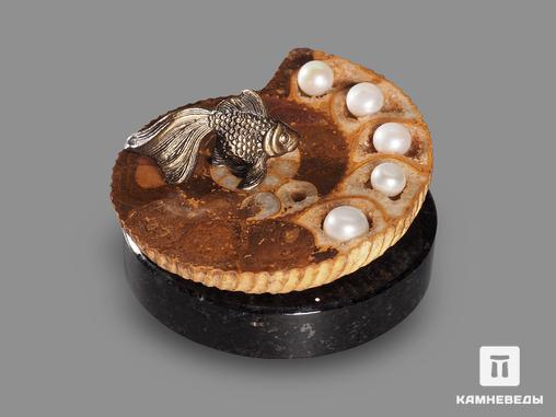 Композиция с полированным срезом аммонита и жемчугом, 19428, фото 2