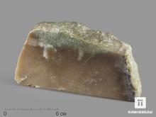 Нефрит моховой, полированный срез 16х8,4х3,6 см