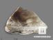 Нефрит моховой, полированный срез 14,5х12,7х3,4 см, 19612, фото 1