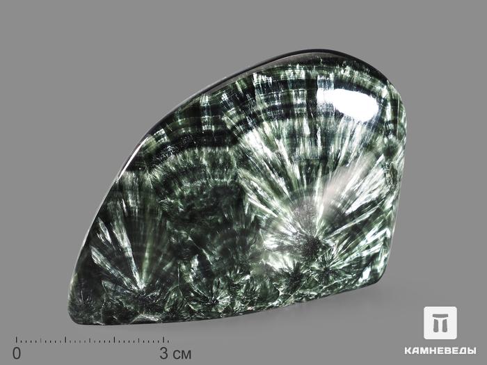 Клинохлор (серафинит), полировка 8х5,5х4 см, 19601, фото 1