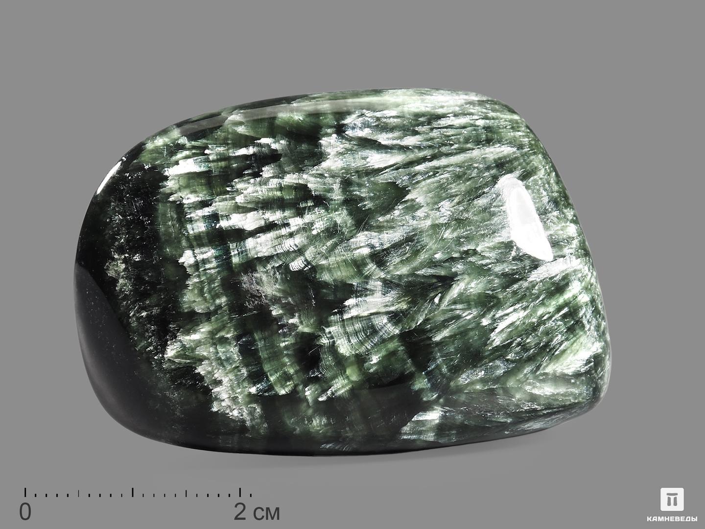 Клинохлор (серафинит), полировка 4,5-6 см, 19599, фото 1