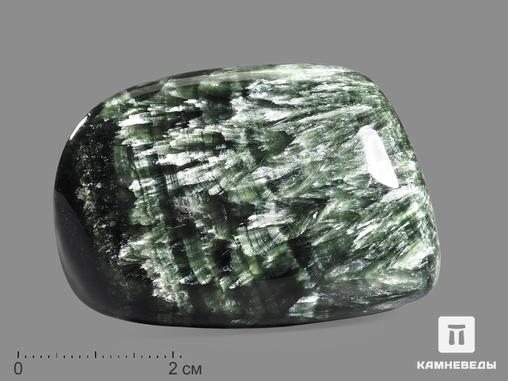 Клинохлор (серафинит), полировка 4,5-6 см, 19599, фото 1