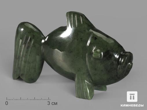 Рыба из нефрита, 10,5х6х2,3 см, 19582, фото 1