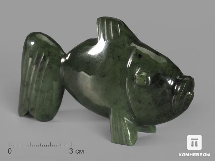 Рыба из нефрита, 10,5х6х2,3 см, 19582, фото 1