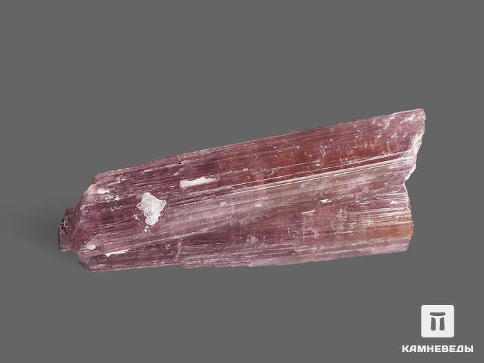 Турмалин (рубеллит), сросток кристаллов 5х2х1 см, 19643, фото 2
