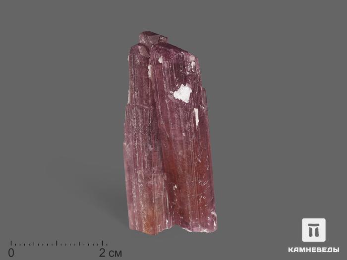 Турмалин (рубеллит), сросток кристаллов 5х2х1 см, 19643, фото 1