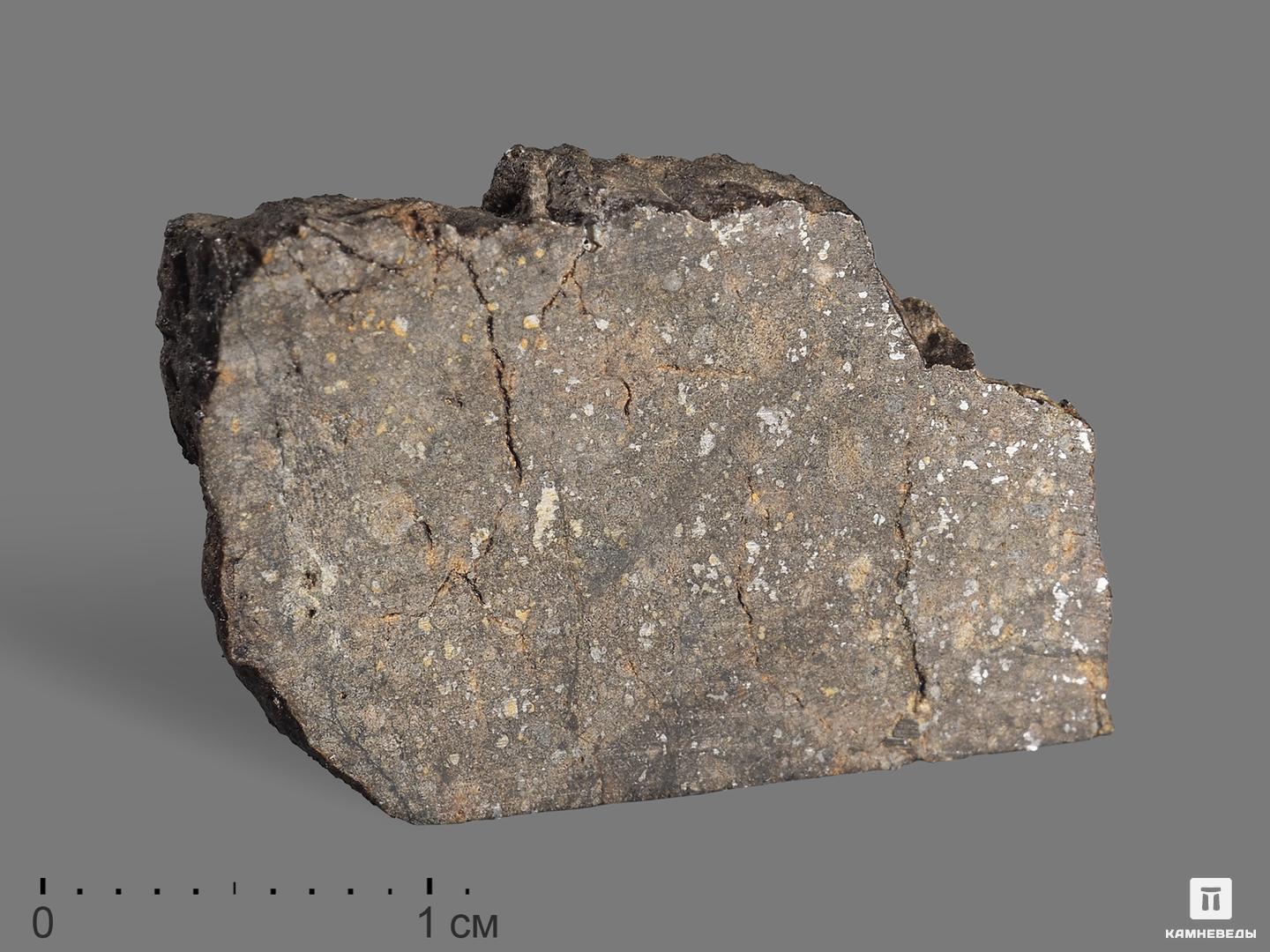 Метеорит Полуямки, 5,35 г, 19646, фото 1