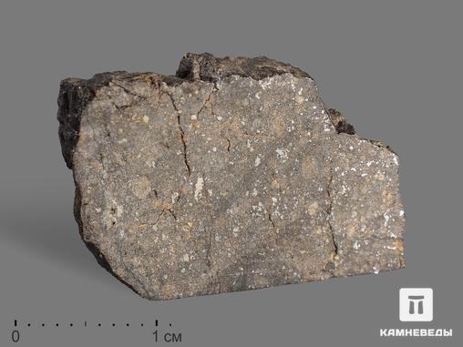 Метеорит Полуямки, 5,35 г, 19646, фото 1