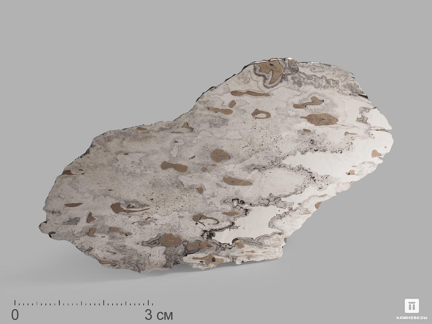 Метеорит Дронино, пластина 8,5х5х0,3 см (41,9 г) метеорит agoudal железный 0 5 1 5 см 0 1 1 г