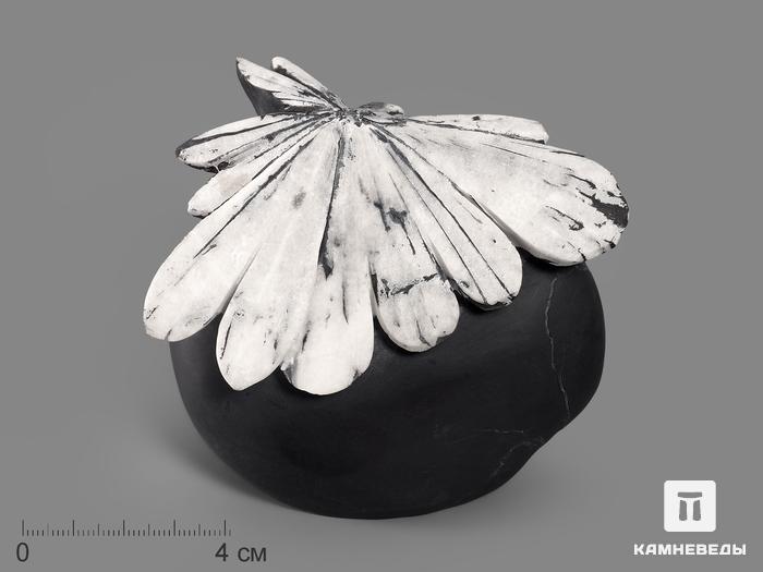 Целестин на аргиллите «хризантемовый камень», 9,5х9,4х7 см, 19526, фото 1